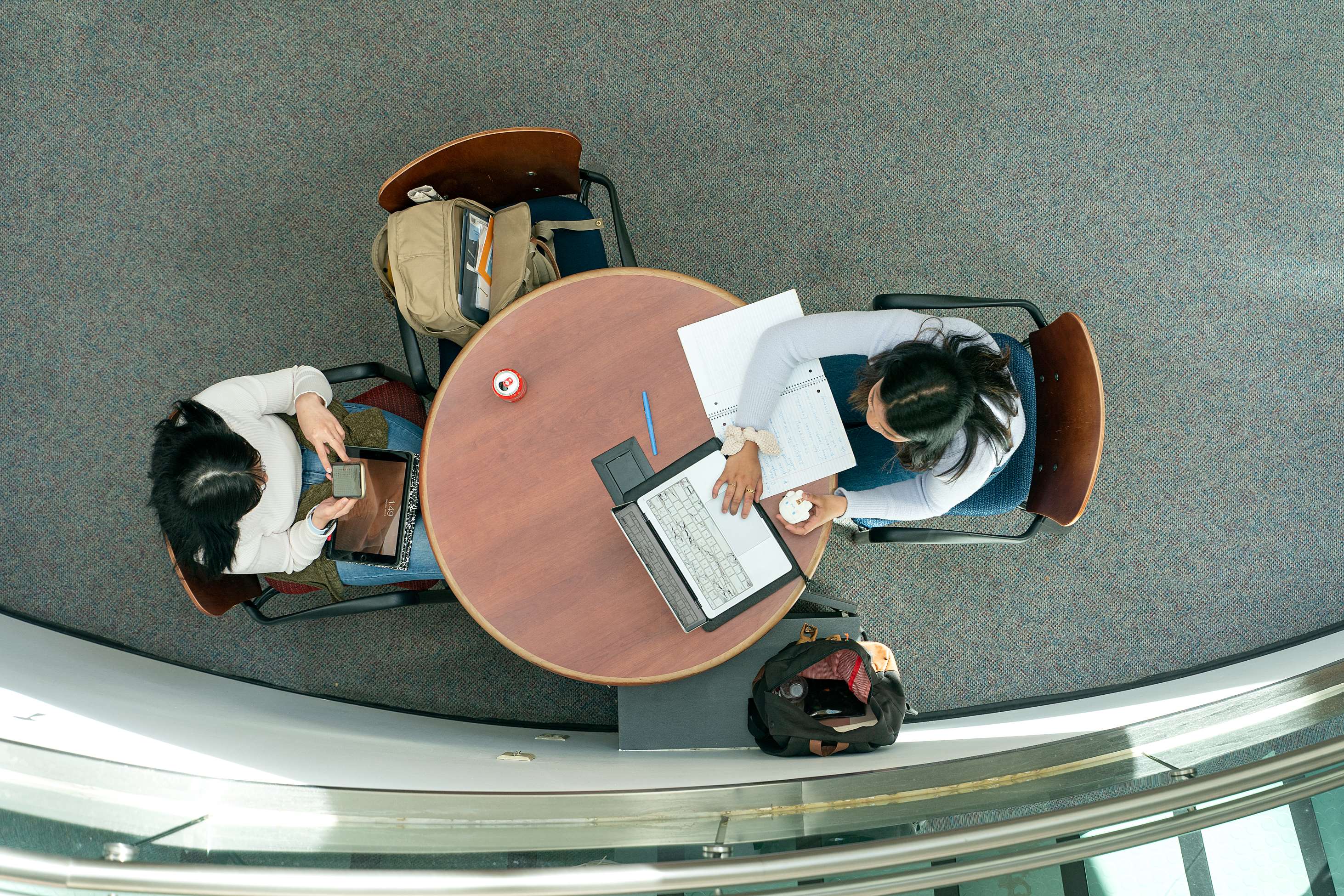 library students